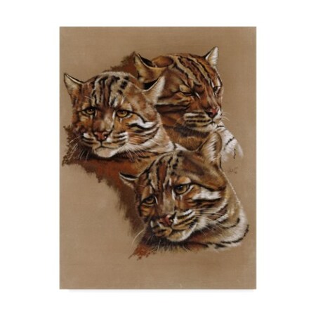 Barbara Keith 'Fire Cat' Canvas Art,14x19